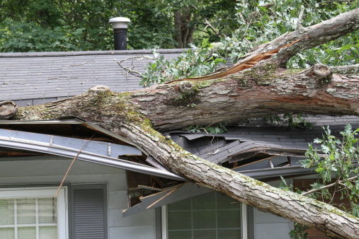 What To Do After Storm Damage